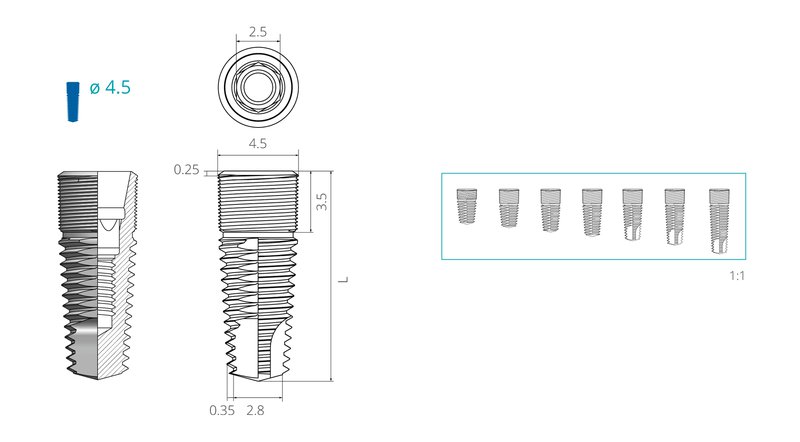 Dimensions of a screw implant with a diameter of 4,5 mm